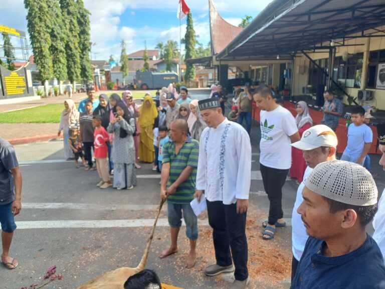 Salurkan 5 Ekor Sapi Kurban, Kapolres Pasaman manfaatkan momen idul adha untuk berbagi dengan masyarakat