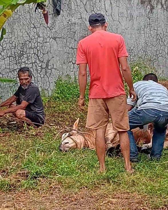 Terima Kasih Telah Berqurban, Ummat Sumbar Menikmati Makan Daging